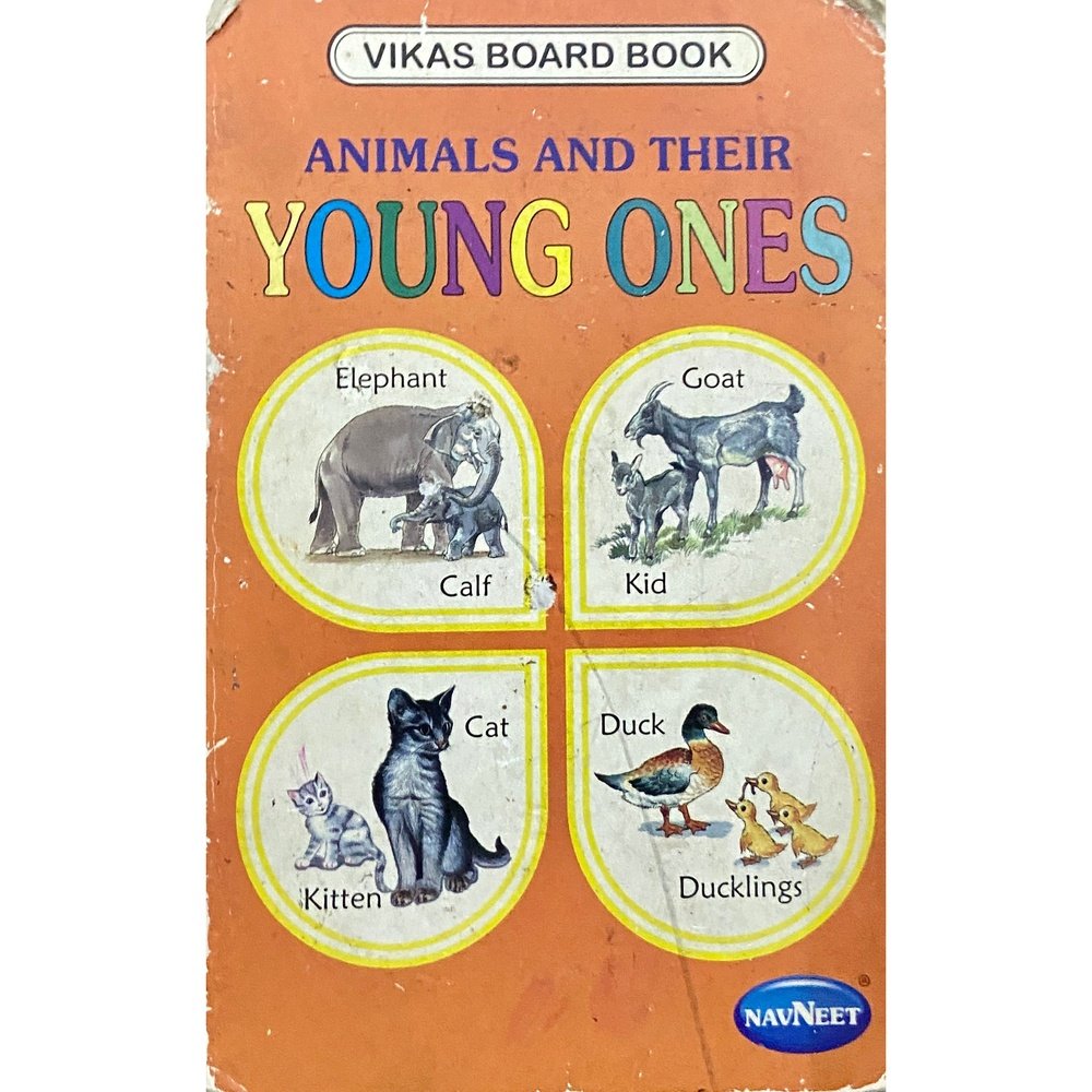 Animals and Their Young Ones – Inspire Bookspace