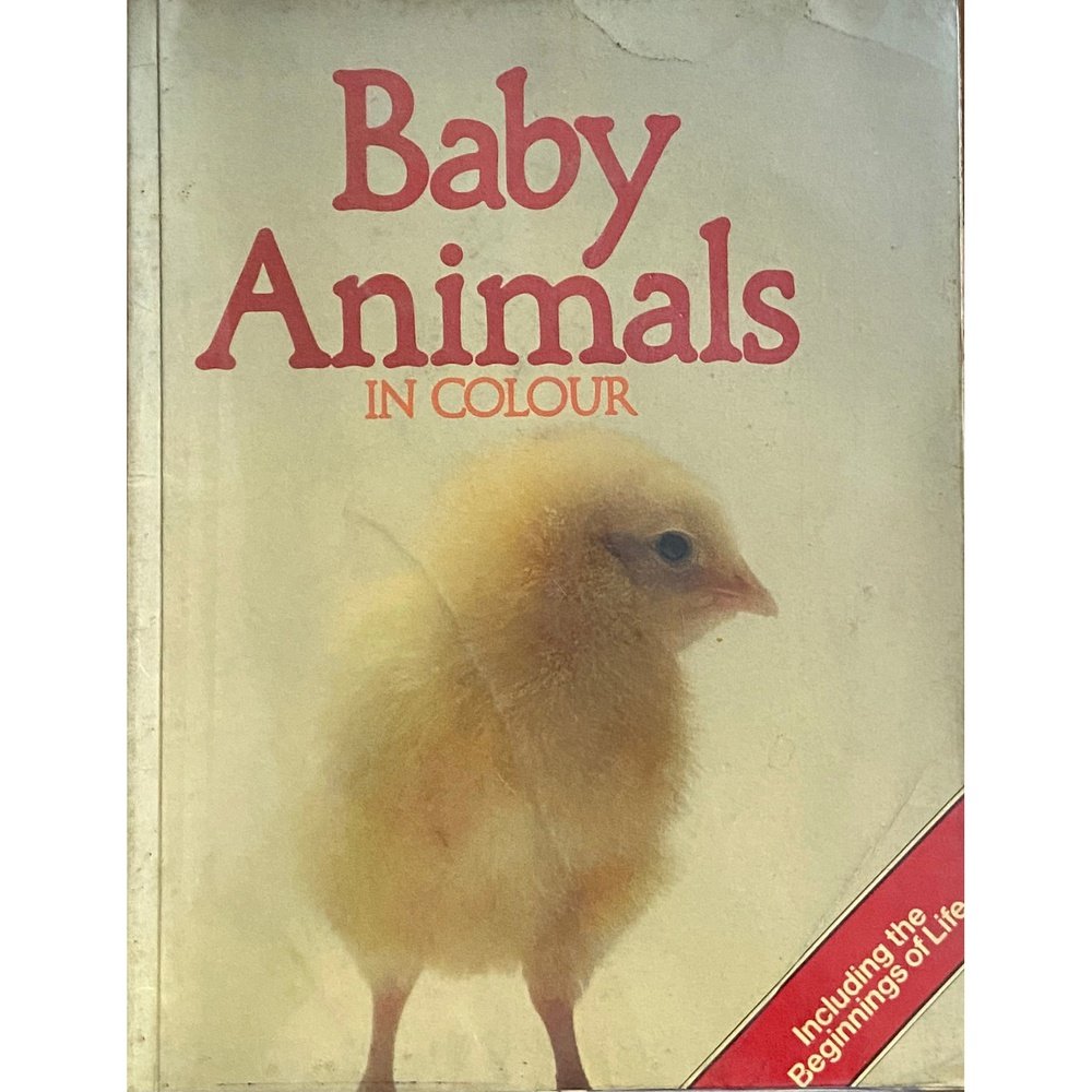 Baby Animals in Color by Maurice Burton Inspire Bookspace