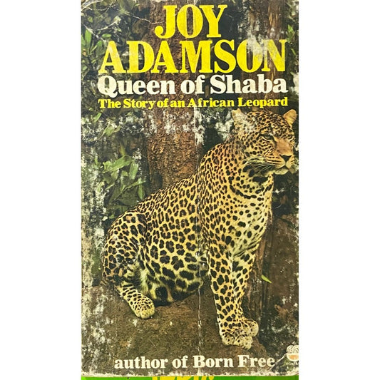 Queen of Shaba by Joy Adamson