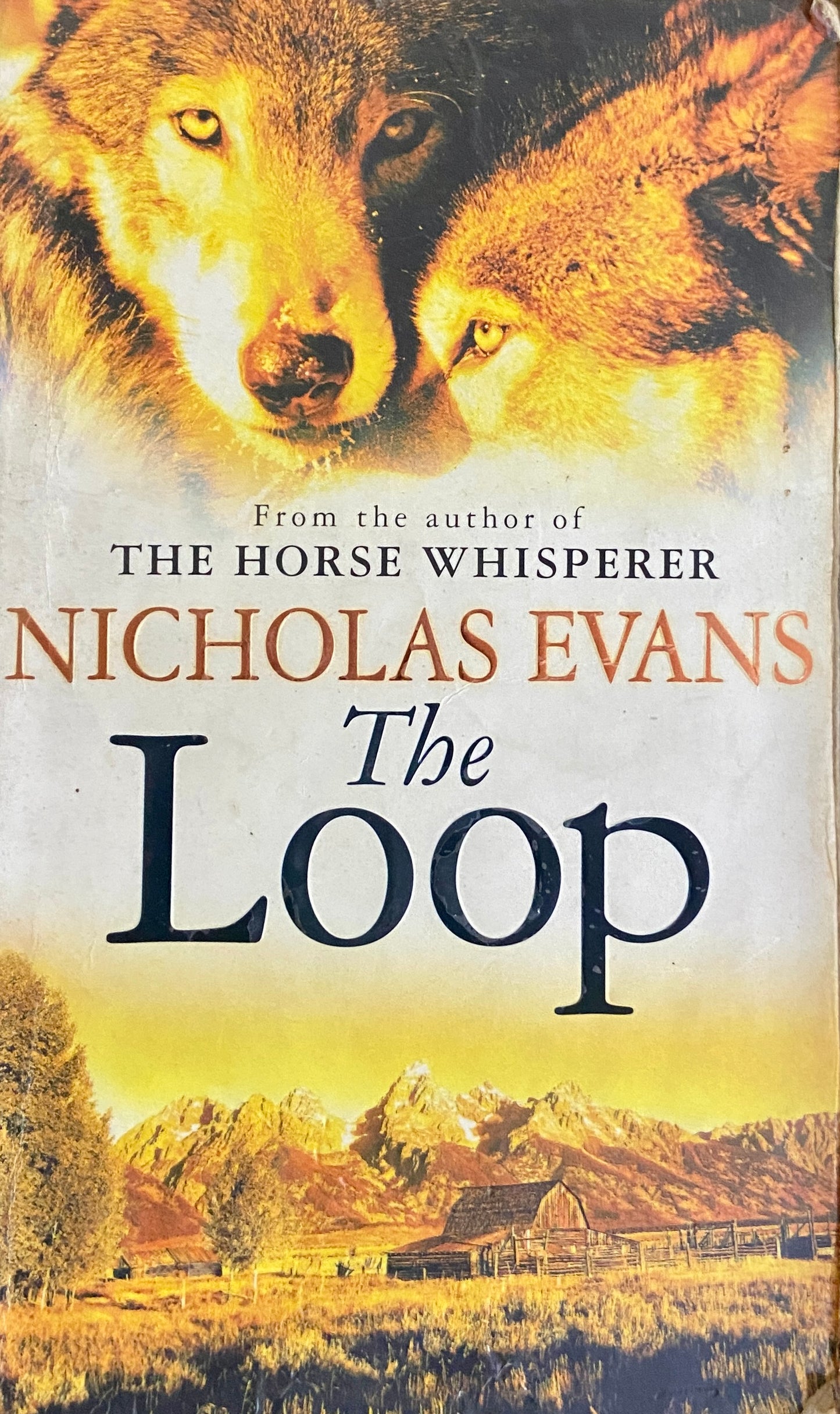 The Loop by Nicholas Evans