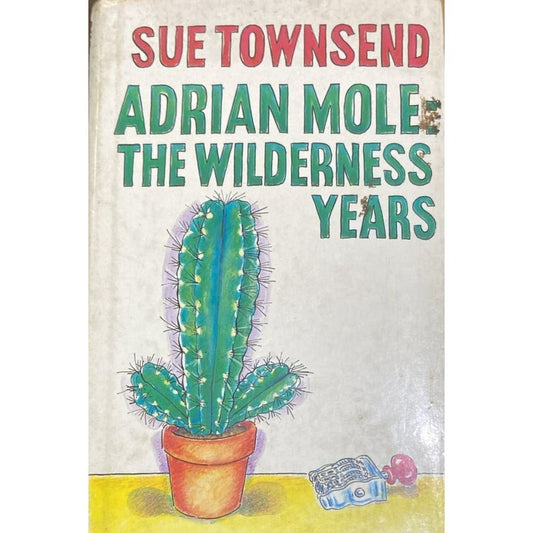 Adrian Mole The Wilderness Years by Sue Townsend