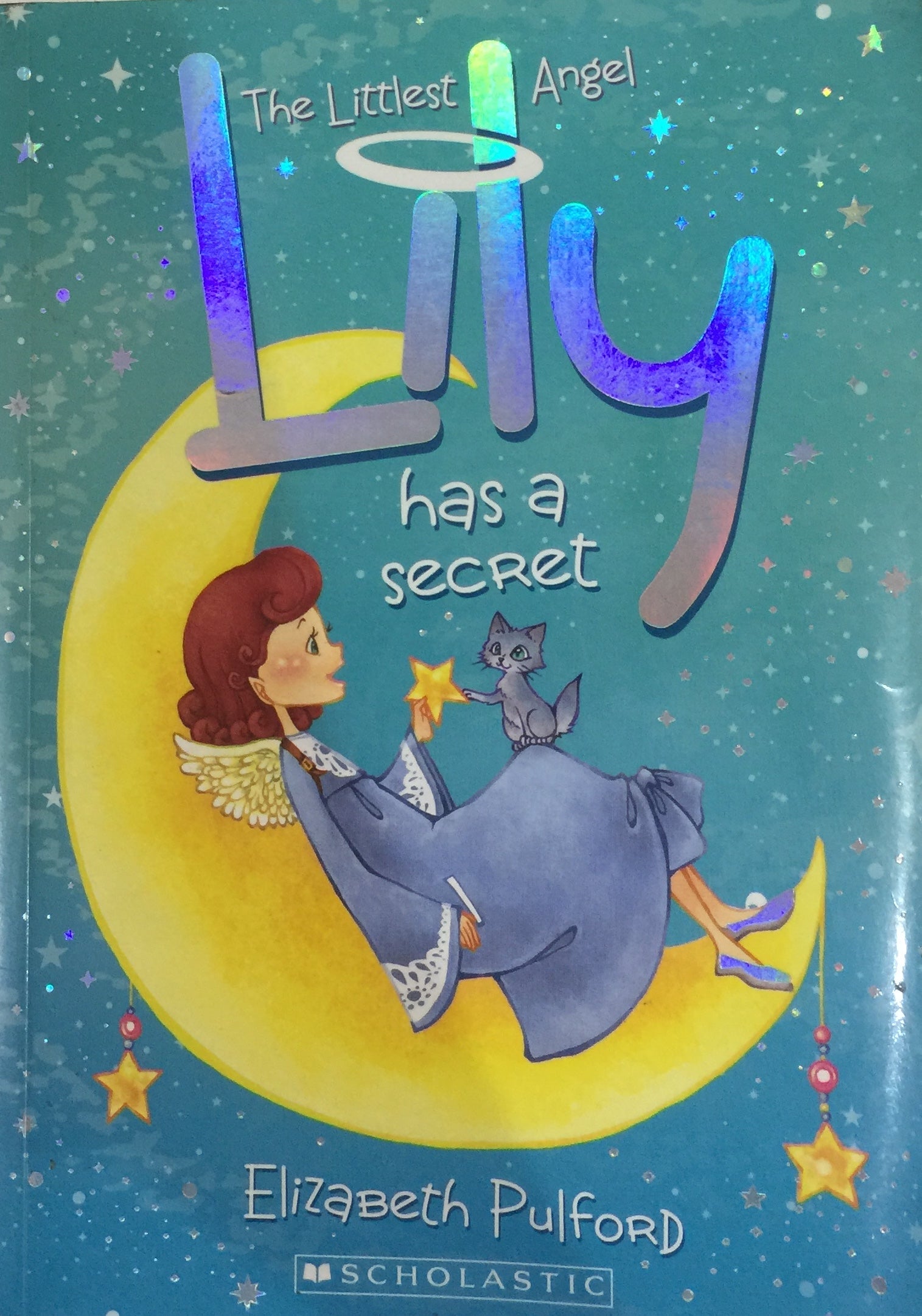 Lily has a Secret by Elizabeth Pulford – Inspire Bookspace