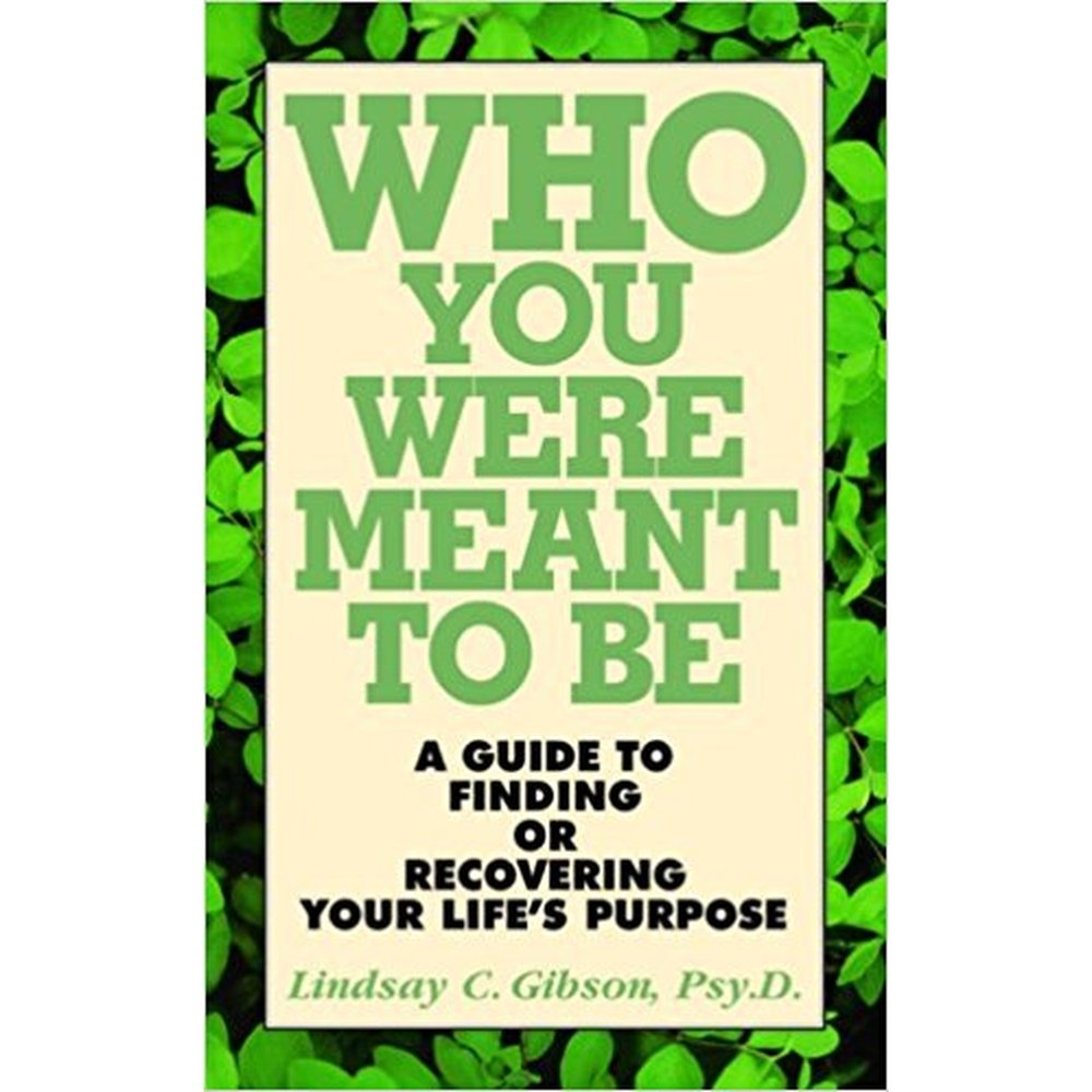 Who You Were Meant To Be by Lindsay C. Gibson  Half Price Books India Books inspire-bookspace.myshopify.com Half Price Books India